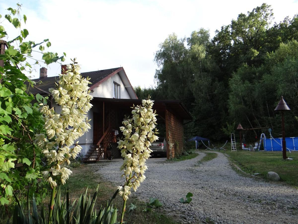 Dom Na Wzgorzu Appartement Gorlice Buitenkant foto