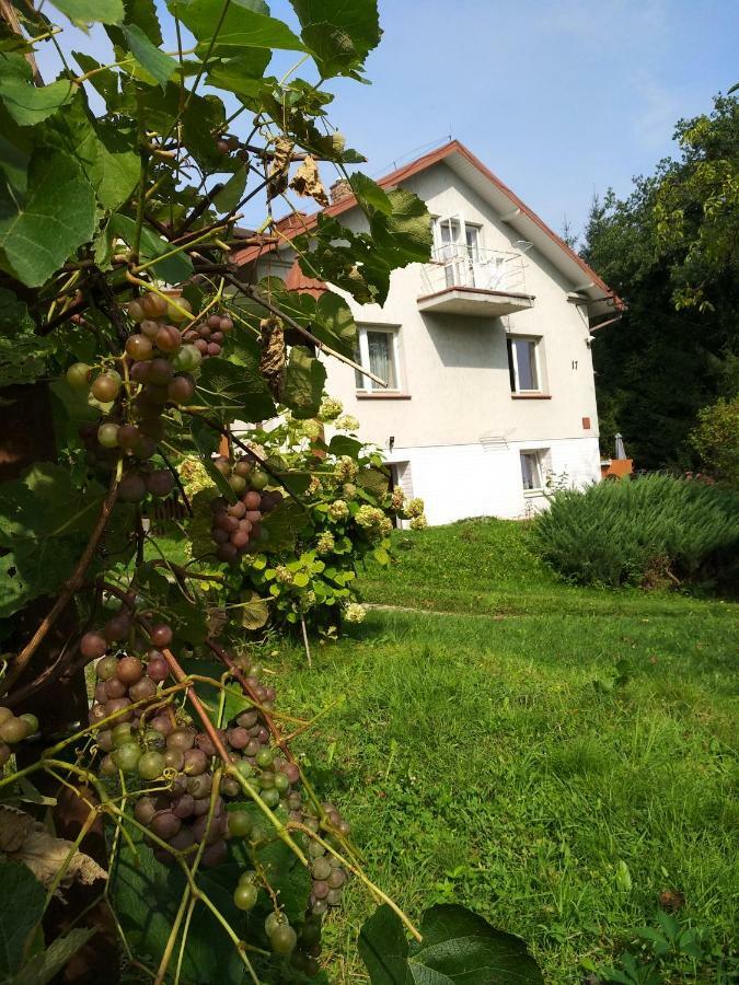 Dom Na Wzgorzu Appartement Gorlice Buitenkant foto